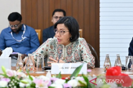 Sri Mulyani: Aset kripto perlu diatur dalam standar kebijakan global