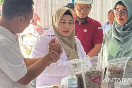 PKK Kalsel dorong usaha budidaya ikan air tawar skala rumah tangga