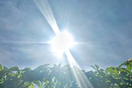 Suhu dingin merupakan fenomena alamiah ketika masa puncak kemarau