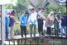 Banjarmasin galakkan penanaman padi unggul untuk kendalikan inflasi