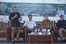 Balangan govt strives rubber price to increase