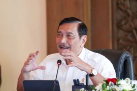 Luhut Pandjaitan: Borobudur jadi sumber penerimaan negara