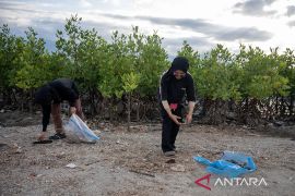 Pembersihan pantai di area konservasi mangrove Page 1 Small