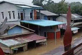 BPBD Kalbar koordinasi tangani dampak banjir dua desa di Kabupaten Ketapang