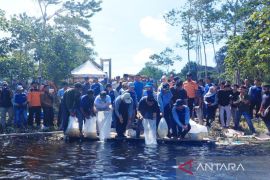 Mukomuko lepas 20.000 bibit ikan di Danau Nibung