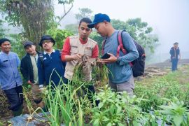 Wawako ikuti panen perdana bawang bombay di Batu Patah Payo