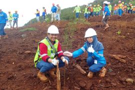 Pemkab  Halmahera Selatan minta perusahaan tambang taat bayar pajak