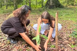 MCC lakukan penanaman 25 bibit pohon pala di Banda Neira