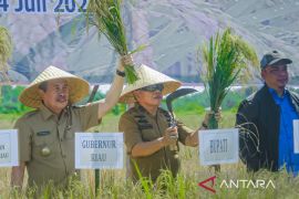 Panen raya bersama Gubri, Plt Bupati Meranti ungkap kendala yang dihadapi petani