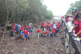 Pulau Pasaran Bandarlampung bakal dijadikan taman wisata mangrove