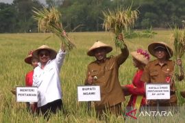 Mentan: Pemerintah siapkan Ngawi daerah penyangga dampak El Nino
