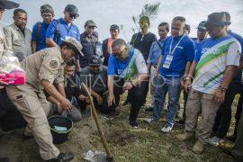 Penanaman bibit pohon di Pantai Palangpang