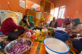 Ministry highlights women's empowerment in village development