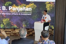 Luhut akui siap jadi Ketum Golkar jika didukung anggota