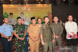 Forest and land fires in South Kalimantan not yet alarming: BNPB