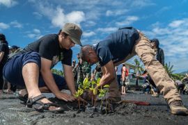 PSDKP-MCC tanam 200 anakan mangrove di Banda Neira