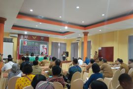 Pemkab Mappi berupaya mengatasi penularan malaria