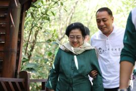 BRIN bantu catat jenis mangrove di Kebun Raya Gunung Anyar