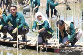 Gubernur Khofifah: Ayo sedekah oksigen dengan menanam mangrove