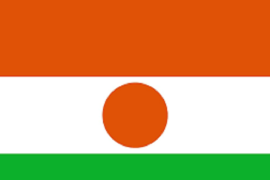 Terkait kudeta di Niger, Sekjen PBB dukung pemerintah