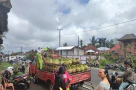 Pertamina tambah 368.480 tabung elpiji tiga kilogram di Bali