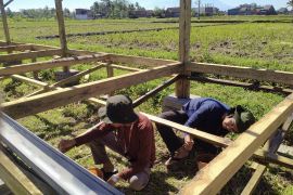 Mahasiswa UB bantu pemerintah desa kembangkan potensi peternakan