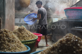 Dampak kelangkaan elpiji di Malang Page 1 Small