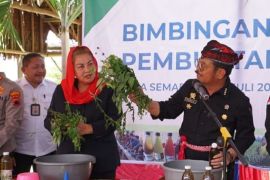 Mentan ajak petani gunakan biosaka, kurangi pupuk kimia