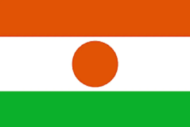 Kecam upaya kudeta di Niger, Sekjen PBB Antonio Guterres dukung penuh pemerintah