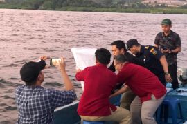Polda Kepri melepasliarkan 1.500 benur lobster hasil penindakan