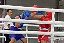 Cabor Tinju Maluku kantongi empat tiket menuju PON Aceh