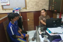 Polres Sukabumi Kota tangkap tiga pemuda sengaja tanam ganja