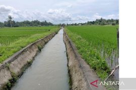 DKPP Belitung imbau petani perbaiki saluran irigasi hadapi El Nino