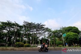 Cuaca sebagian besar ibu kota provinsi diprakirakan cerah berawan