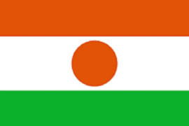 Junta militer Nigeria putuskan hubungan diplomatik dengan empat negara