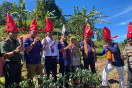 PLN dorong pengembangan Desa Wisata Kassi di Sulawesi Selatan