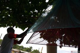 Harga ikan segar di Gorontalo naik