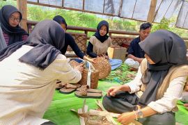 BI Sulsel dampingi lebih 100 UMKM berproduk ekspor