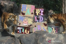 Peringatan Hari harimau Sedunia