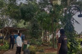 Tertimpa pohon, pemilik angkot diminta ajukan klaim terkait kendaraan