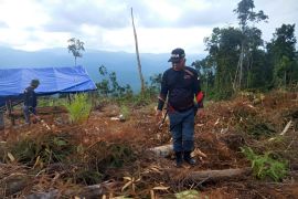 KLHK tetapkan status dua tersangka kasus perambah hutan di Sulawesi Selatan
