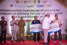 Dukungan pembiayaan petani kelapa sawit oleh OJK Page 5 Small