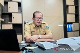 DPM-PTSP: Investasi Papua Barat semester I 2023 capai Rp970,1 miliar