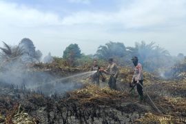 61 titik panas terdeteksi di Riau, terbanyak di Rohil