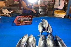 Harga ikan di Gorontalo Utara naik