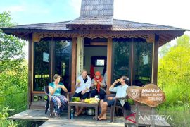 Pulau Curiak dilengkapi ecolodge dukung wisata bekantan di situs Geopark Meratus
