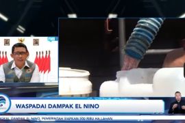 BNPB prioritizes land operations to handle El Nino-triggered karhutla