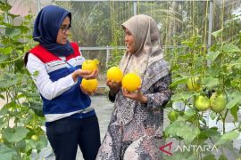 Program CSR Pertamina Patra Niaga Regional Sumbagut  diganjar dua penghargaan