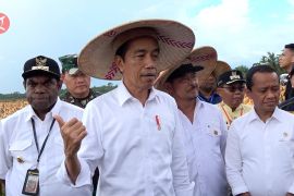 Presiden Jokowi puji hasil panen jagung di lumbung pangan Keerom