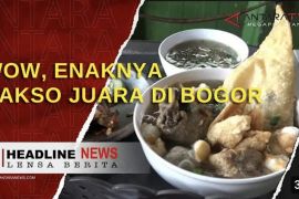 Wow, enaknya bakso juara di Bogor